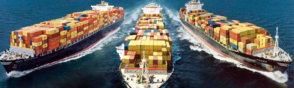 Wisdom Forwarderz operations